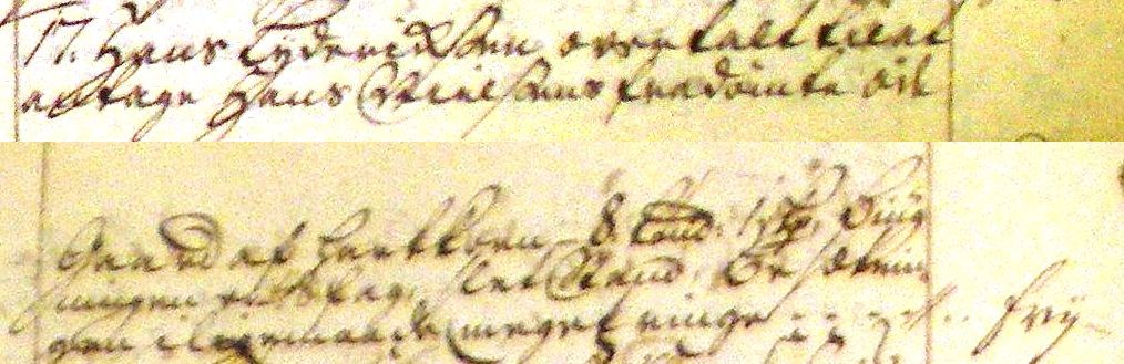 Fæste Designation 1735- Hans Lyderichsen
