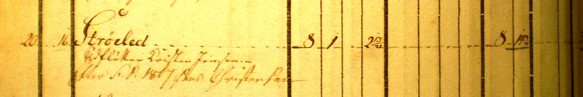 Jordebog 1796