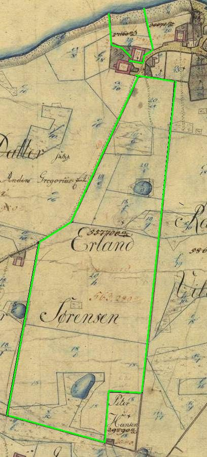 1816