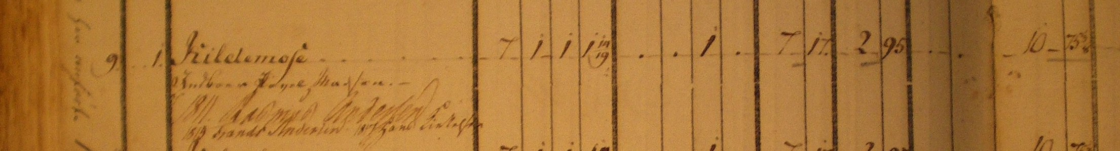 Jordebog 1796