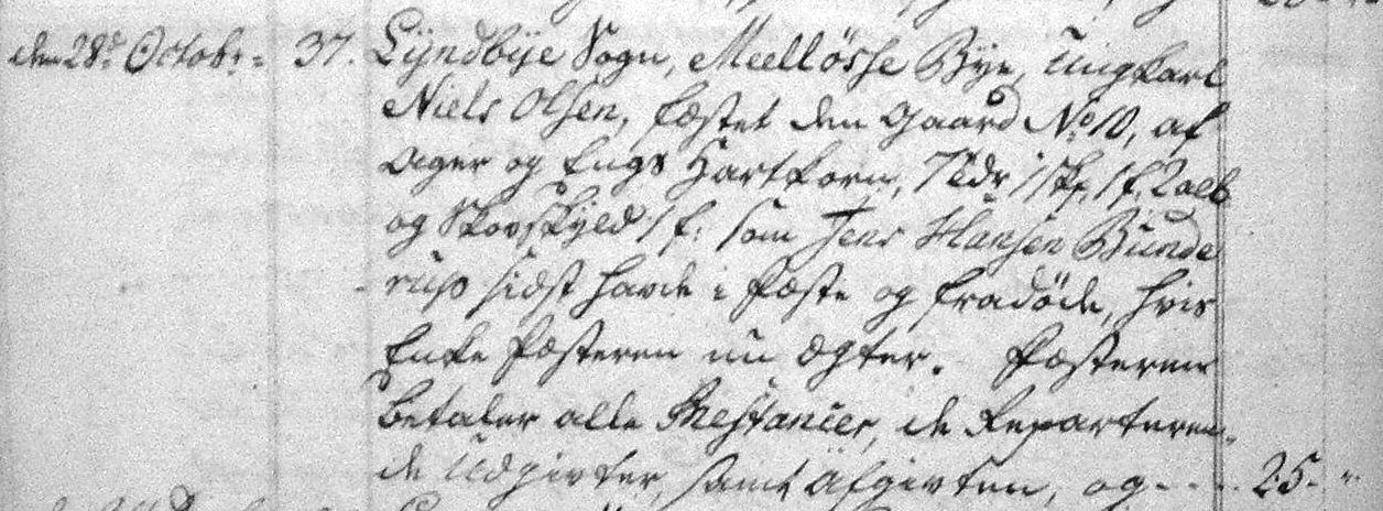 Fæste Designation 1782 - Niels Olsen