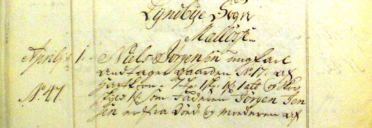 Fæste Designation 1754 - Niels Jørgensen
