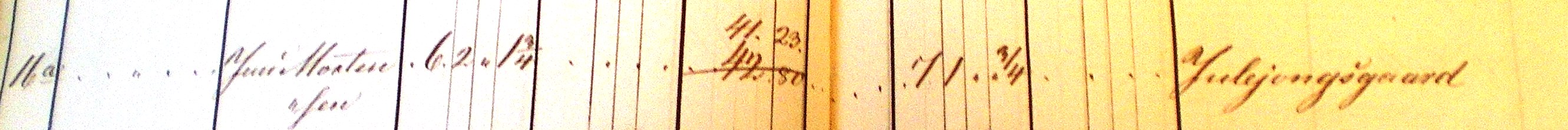 Nye matrikel 1844