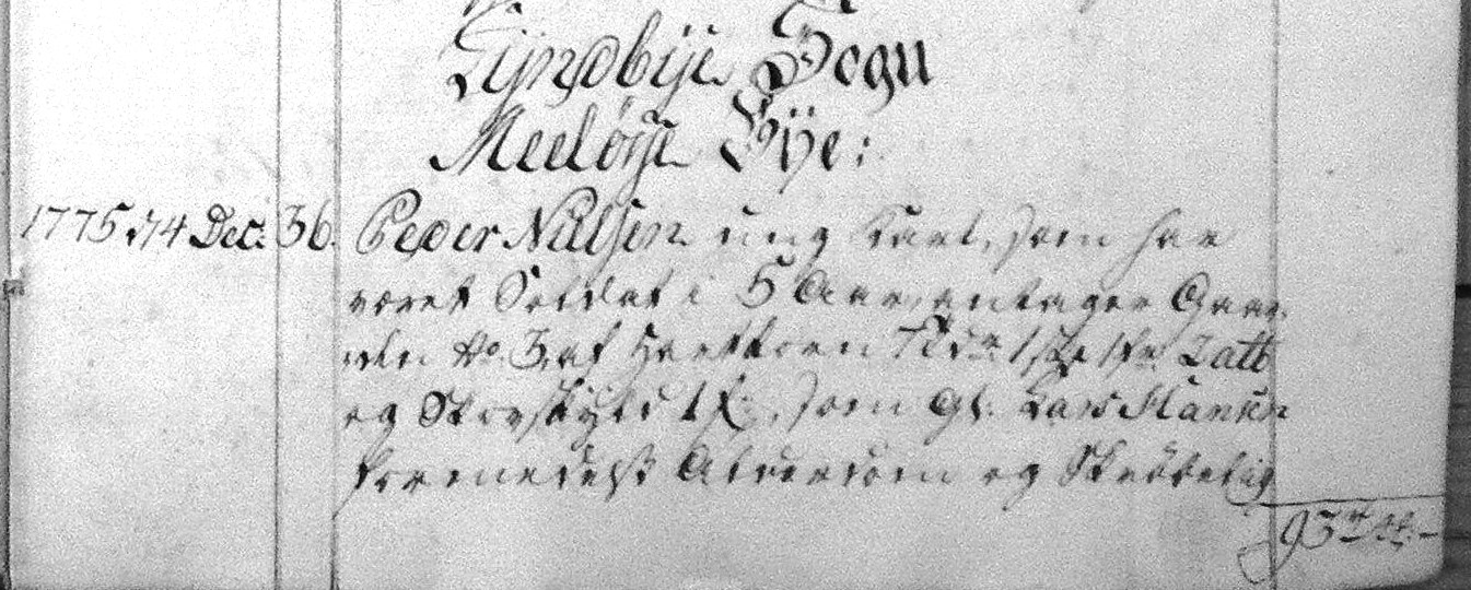 Fæste Designation 1775 - Peder Nielsen