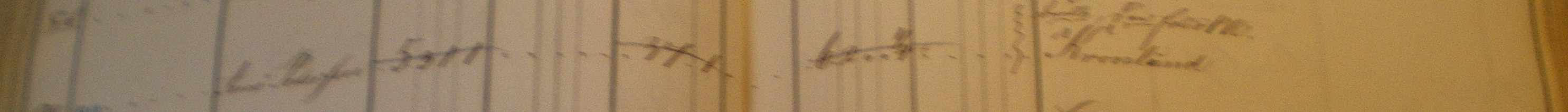 Nye matrikel 1844
