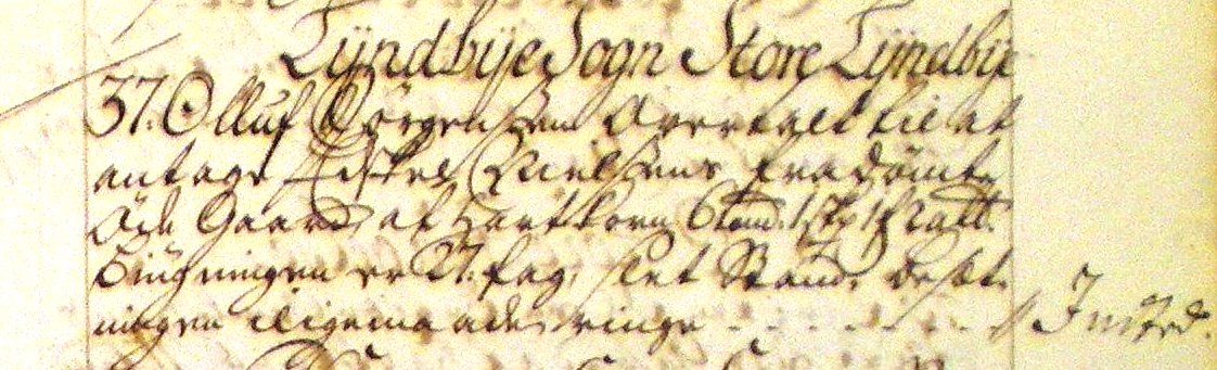 Fæste Designation 1734 - Olluf Jørgensen