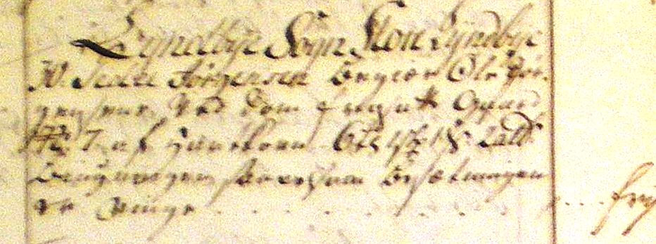 Fæste Designation 1737 - Peder Jørgensen