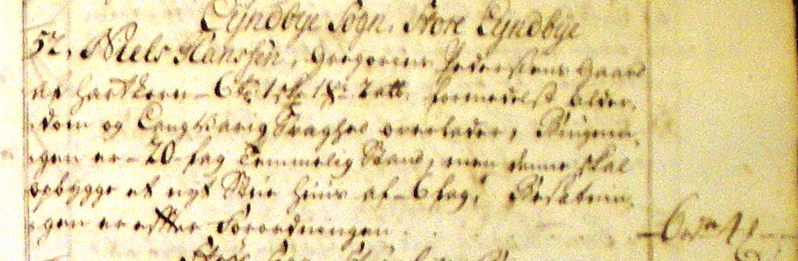 Fæste Designation 1724 - Niels Hansen